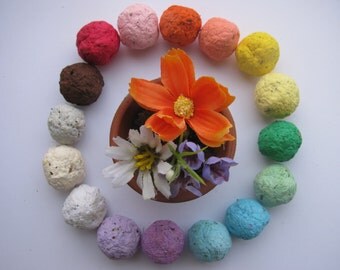 1,500 Wildflower Seed Bombs