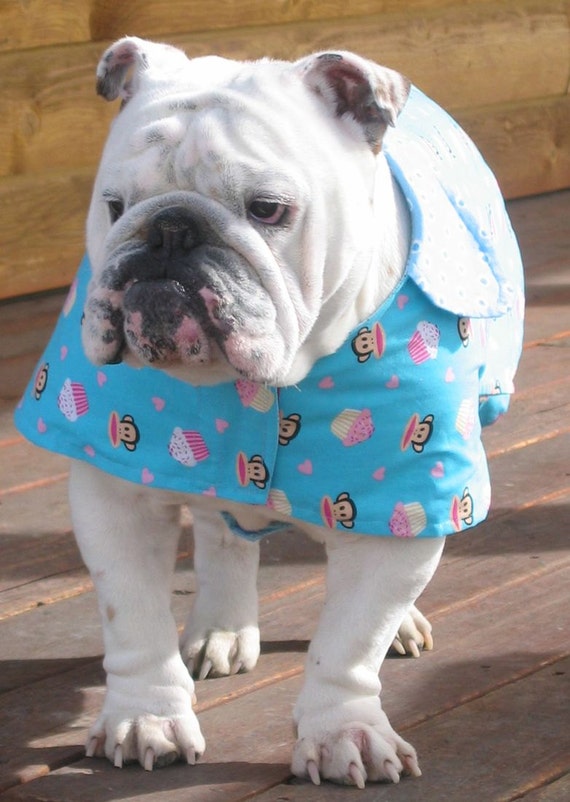 Items similar to English Bulldog Reversible Coat Bulldog Custom Pattern