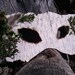 Natural Birch Bark Mask with Feather and Moss