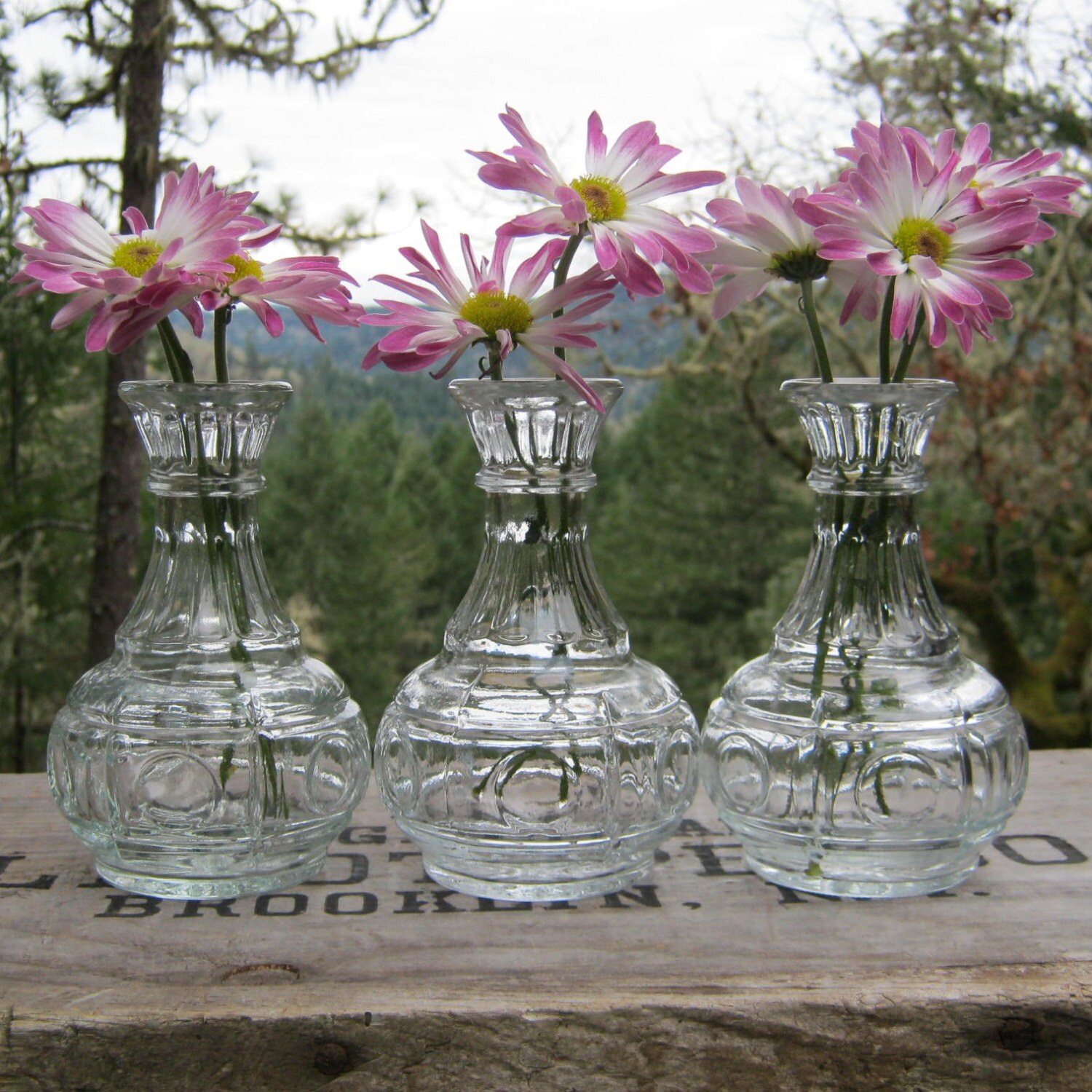 Trio of Clear Glass Pot Belly Bud Vases Wedding by