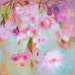 JAPANESE CHERRY Original Abstract Painting on stretched Canvas 12 x 12