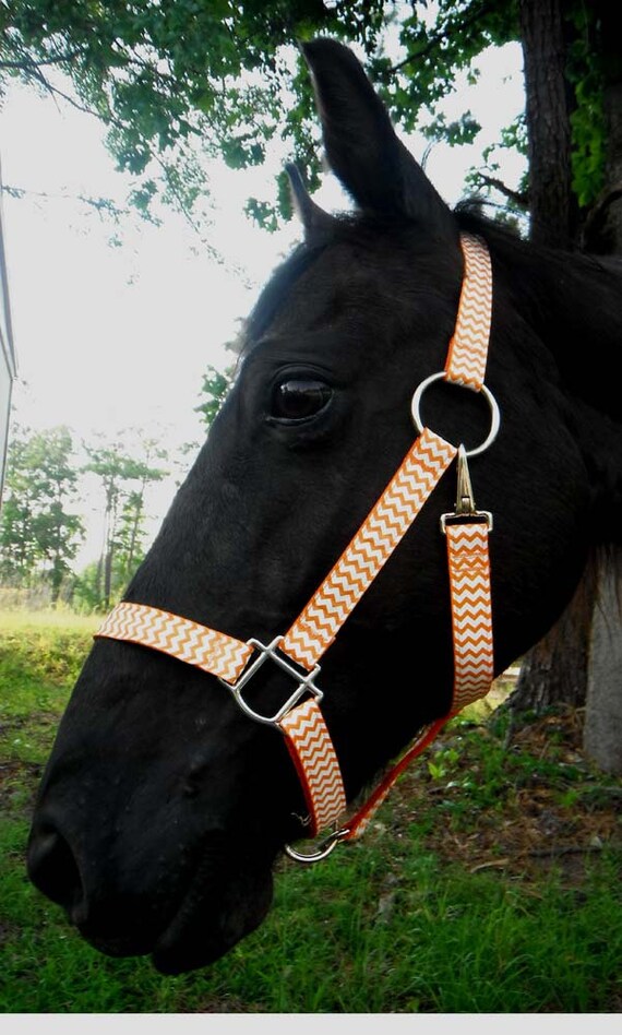 Horse Halter Orange and White Chevrons