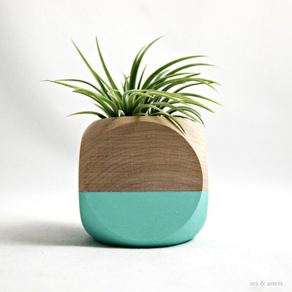 Mini Geometric Air Plant Planter // Aqua Wood with air