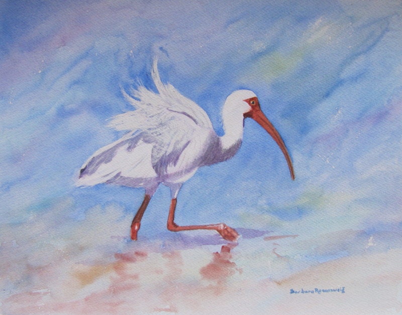 Bird Print Beach Bird Painting Beach Bird Wall Art Ibis