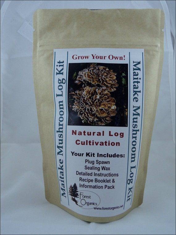 Maitake Mushroom Growing Log Kit Medicinal by