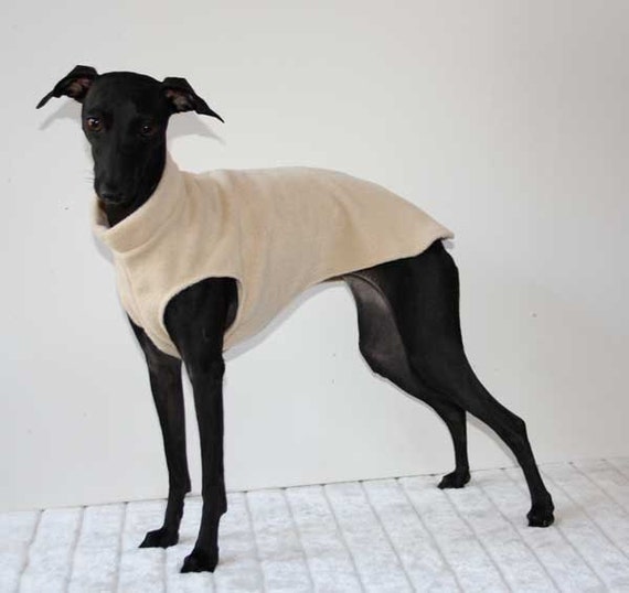 Plain Colour Simple Sleeveless Italian Greyhound by Shadedmoon