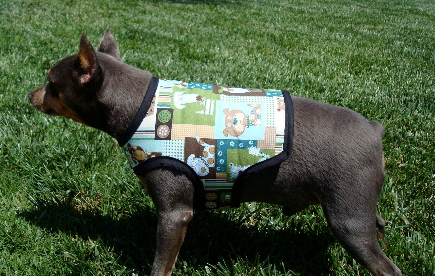 Customize your Vest Adopt Me Dog Vest Therapy Dog Vest