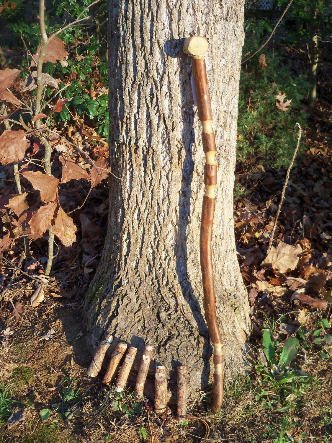 Hiking Cane Walking Stick Cane Hand Carved Crepe Myrtle Wood