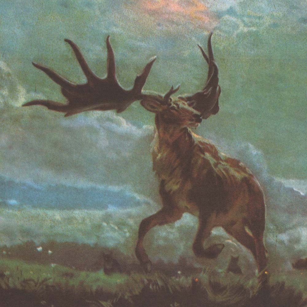 Irish Elk Vintage Print Extinct Mammal Giant Deer Megalocerus