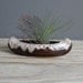 Ceramic Canoe Planter Dish
