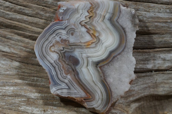 Laguna Lace Agate Slab 56x51x5mm Natural by Dwaynescabochons