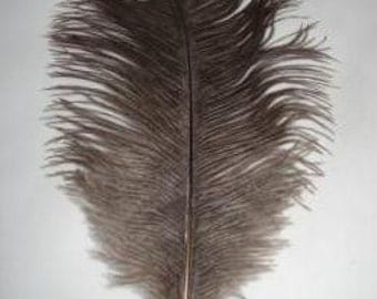Small Ostrich Feathers-12 inches- Various colors to choose.