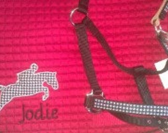 Saddle Pad and Halter
