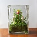 Tiny Lady Slipper Orchid Terrarium in Repurposed Vase