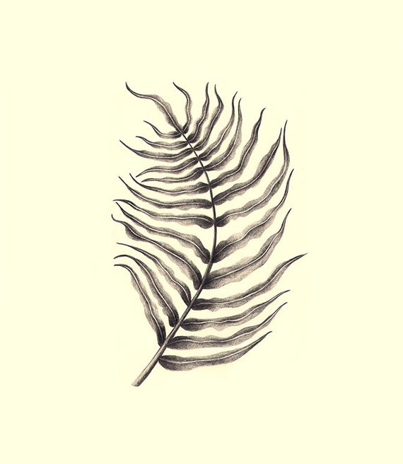 Inkspirate art fern. Папоротник тату. Папоротник эскиз. Лист папоротника эскиз тату. Папоротник набросок.