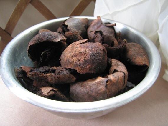 Dried Black Walnut Hulls for Dye 6 cups by emilylefeber on Etsy