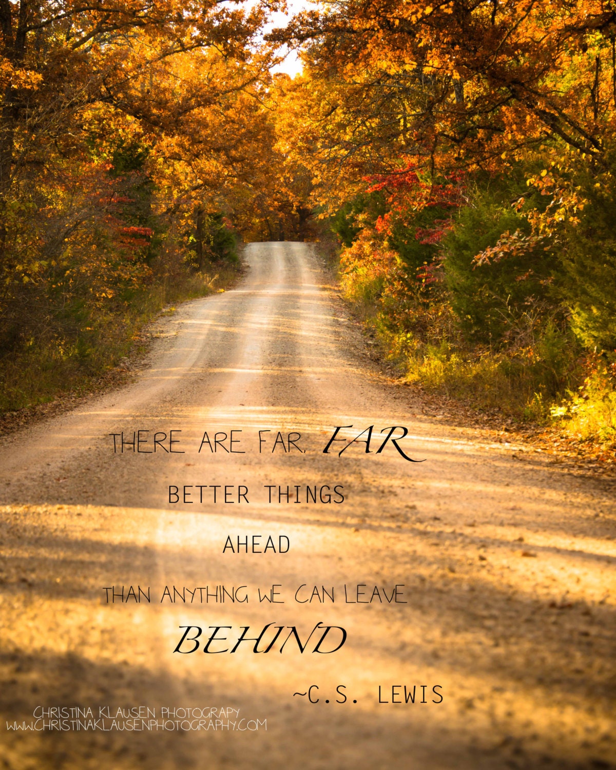  Inspirational  Quote  Photo C S Lewis Quote  Rustic Road 