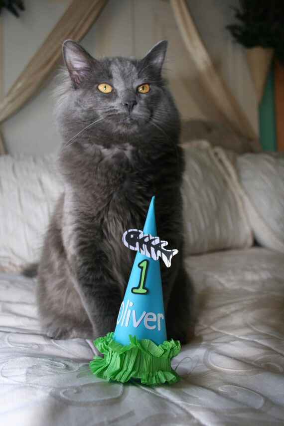 cat birthday cap