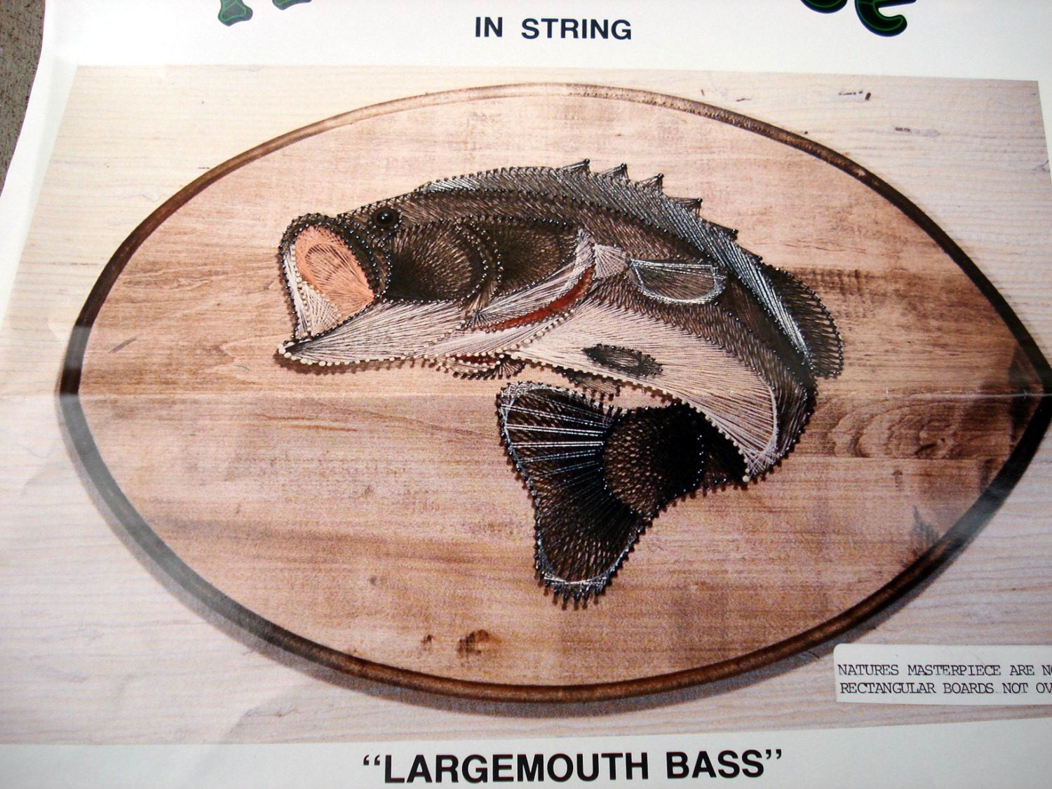 Vintage Largemouth Bass String Art Craft Kit by Tread