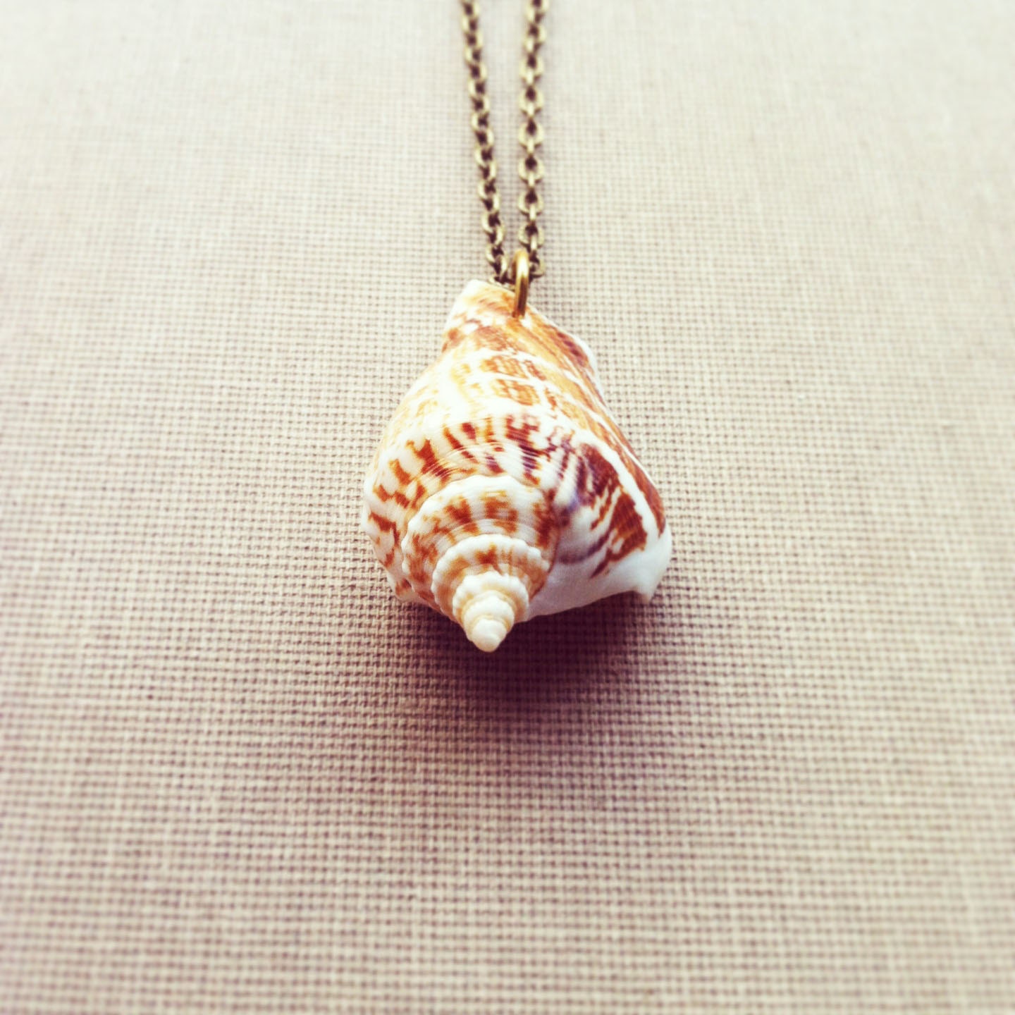 Seashell Necklace Real Shell Nautical Jewelry by lowelowejewelry