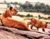 Mama and Toto // Nature & Wildlife Photography // Landscape // Kenya Africa Safari // Art Print