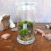 funny terrarium figurines