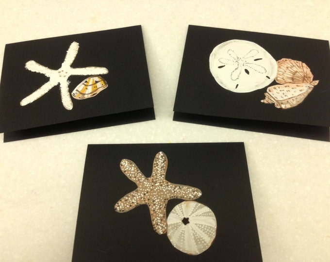 Seashells and Sanddollars - Black Cards and Envelopes - Set of 6
