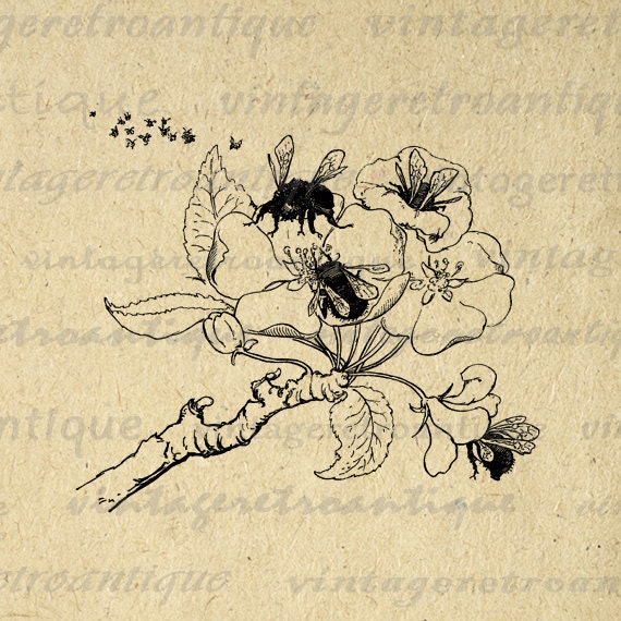Bees and Flower Printable Graphic Image Bee by VintageRetroAntique