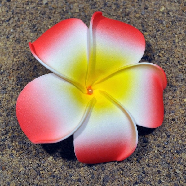Hawaiian Foam Plumeria Flower Hair Clip 9cm 3.54 inches