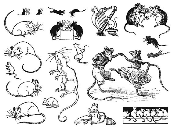 Mouse Drawings