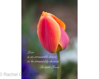 Quotes About Tulips. QuotesGram