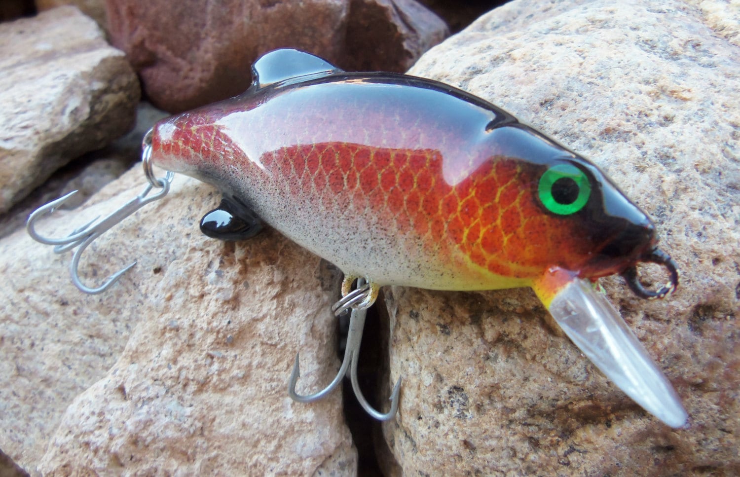 Fishing Lure Fishing Custom Painted by CandTCustomLures on