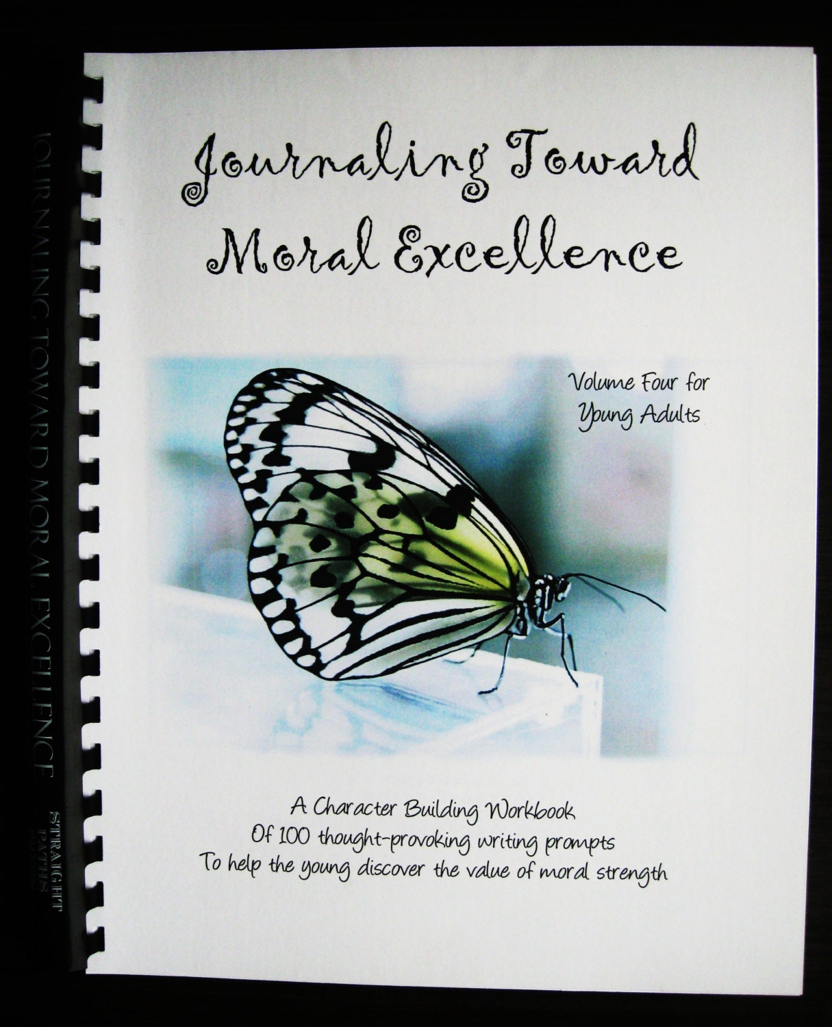 Moral excellence in the bible picture