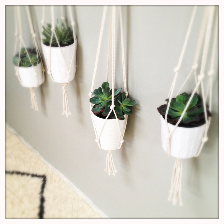 42 Cotton Rope Plant Hanger Single by indieandarrow on Etsy