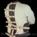 Houdini style straight Jacket