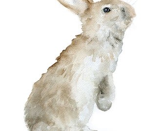 Bunny Rabbit Watercolor Painting Giclee Print Reproduction 8 x 10 - Woodland Animal 8.5 x 11 Nursery Art Print