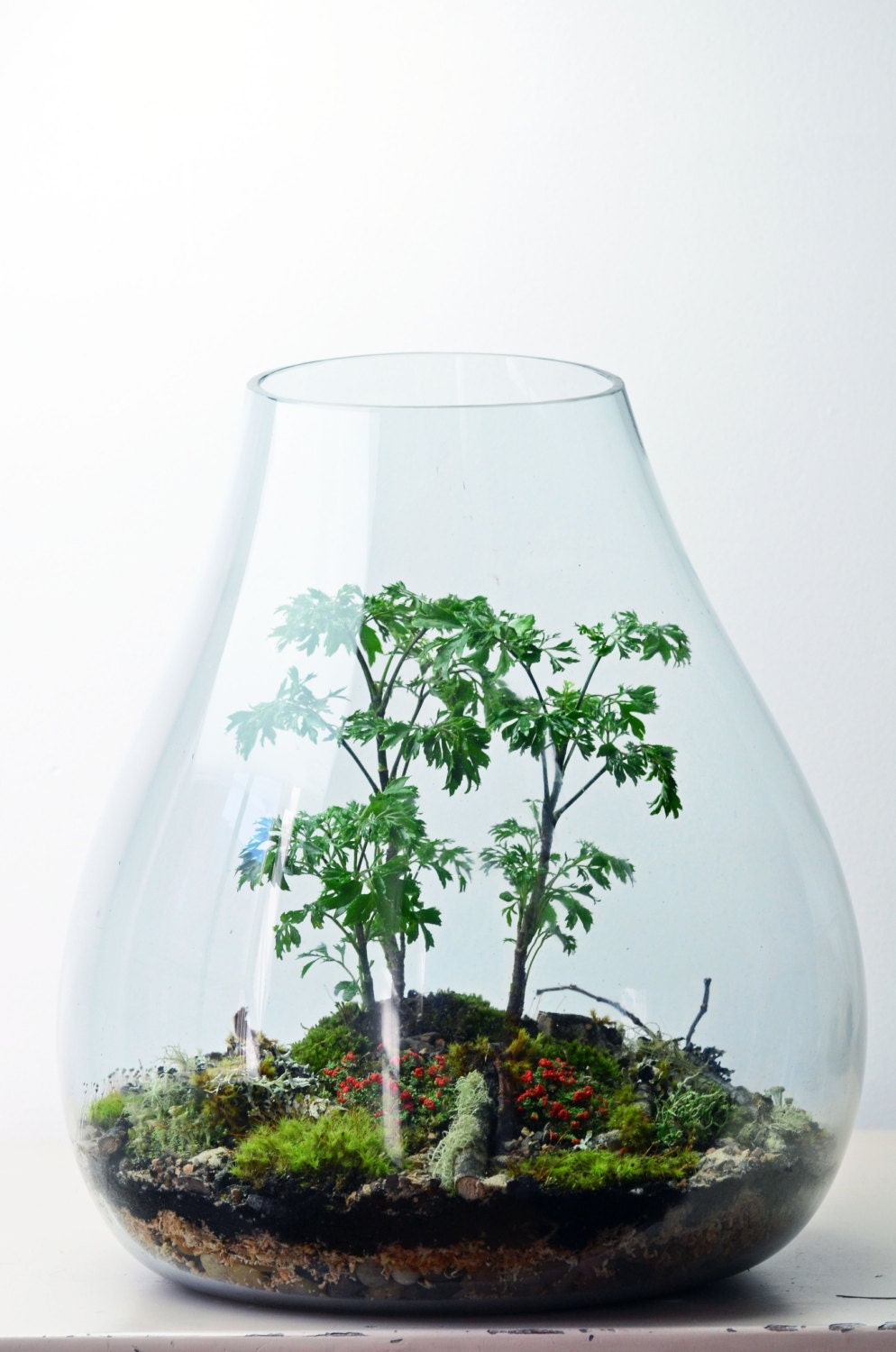 Forest Terrarium // live moss // lichen branches // by PinkSerissa