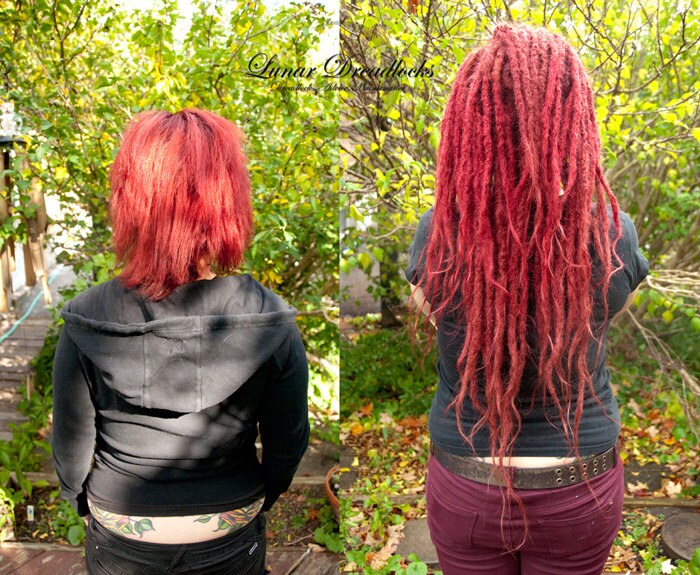Dreadlock Extensions 22 Human Hair Custom by LunarDreadlocks