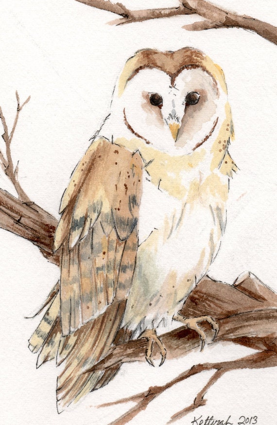 Barn Owl Watercolor Painting Wildlife Art OSWOA