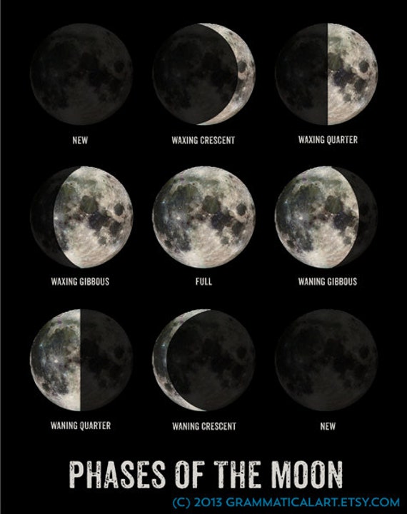 Moon Phase Poster Geekery Lunar Phases Science by GrammaticalArt