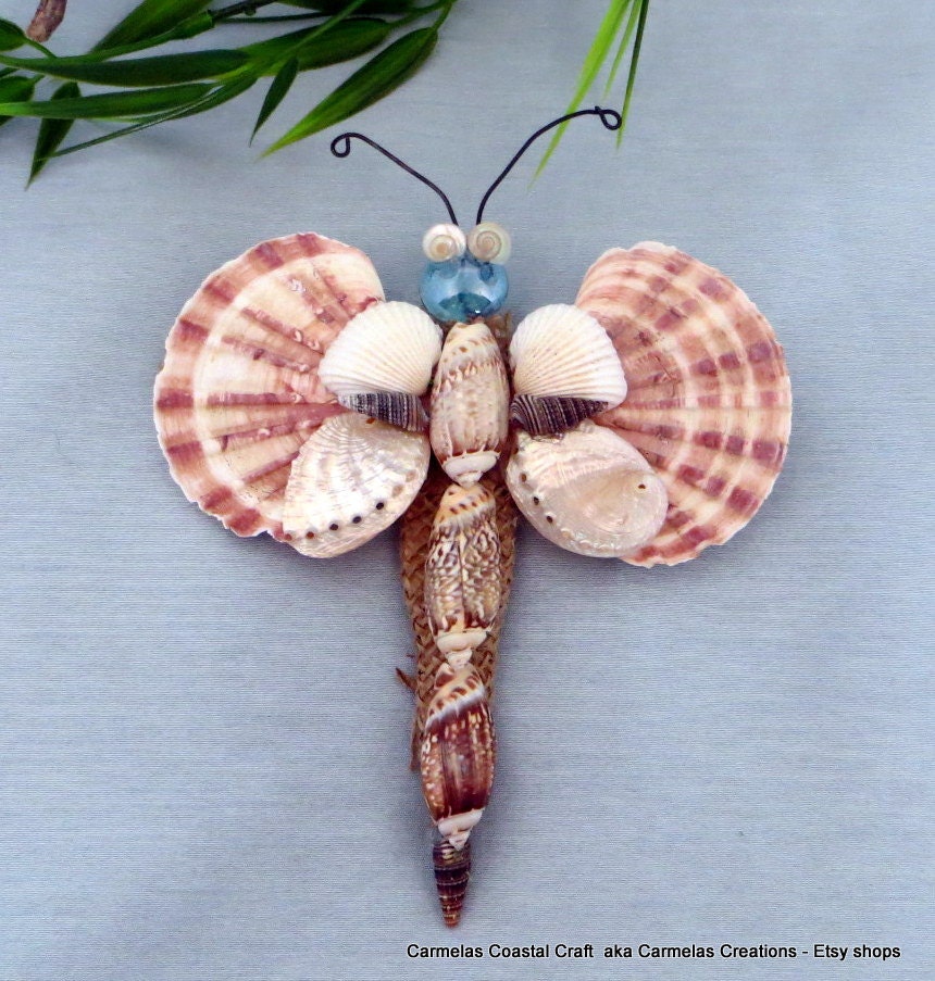 Unique shell butterfly ornament_sea shell beach