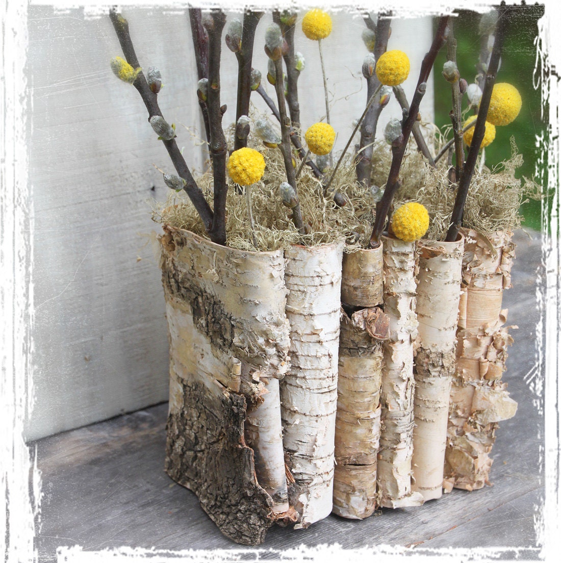 Birch Bark Folder Weddings Centerpiece Decor Container