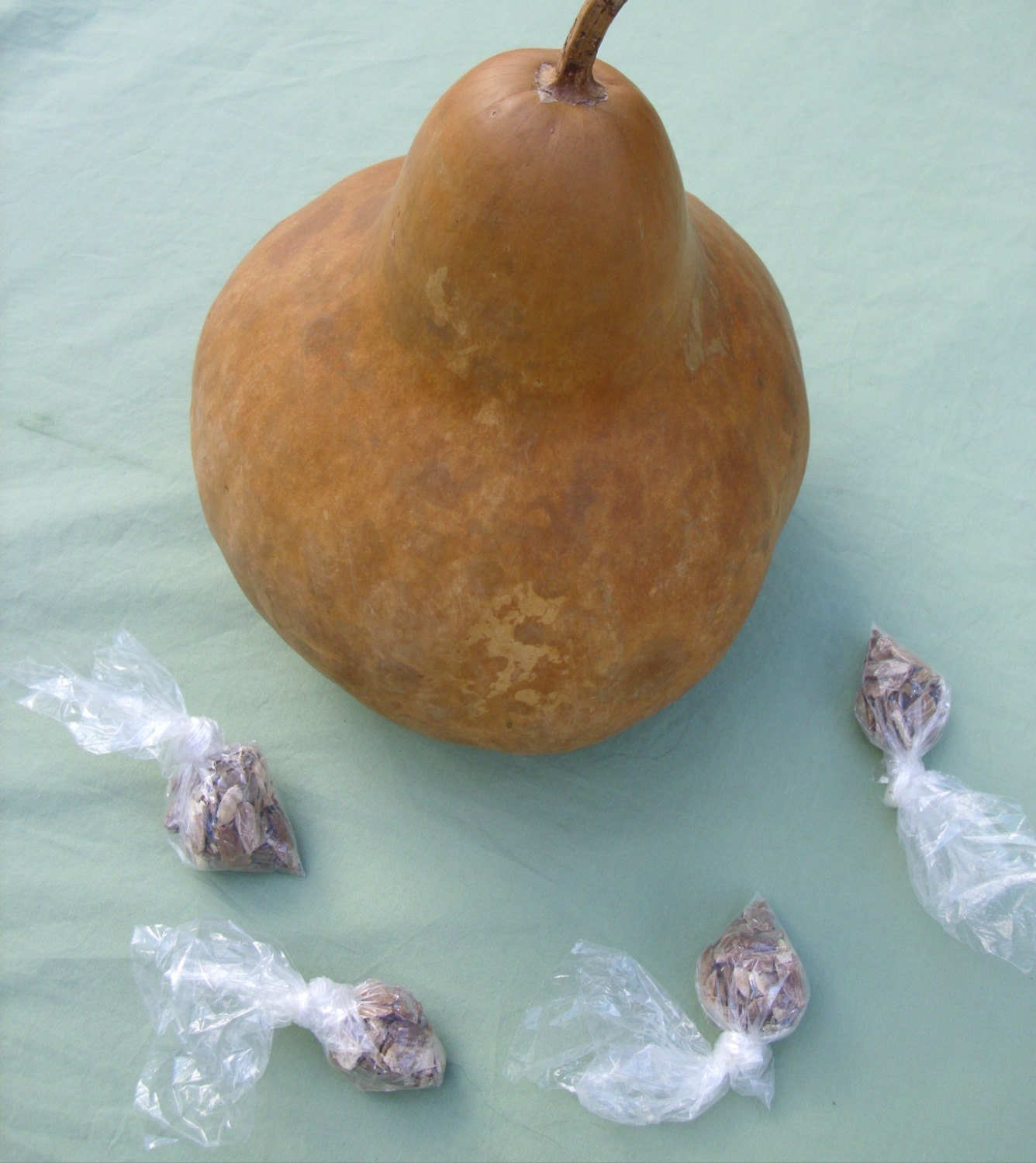 Organic Canteen Gourd Seeds