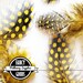 20 - Black / Gold - Yellow - Guinea Feathers