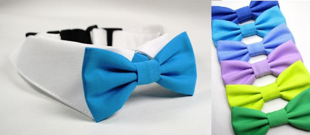 shirt collar for bow tie