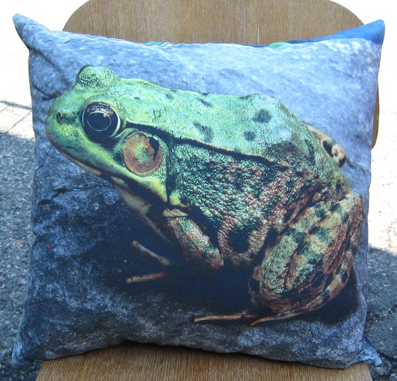 frog pillow