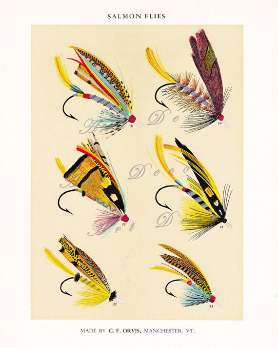 vintage fly fishing illustration a printable digital by ArtDeco