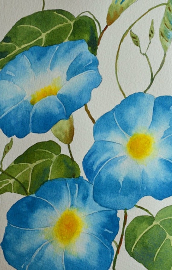 Download Morning Glory Flowers-Fine Art-Watercolor Painting