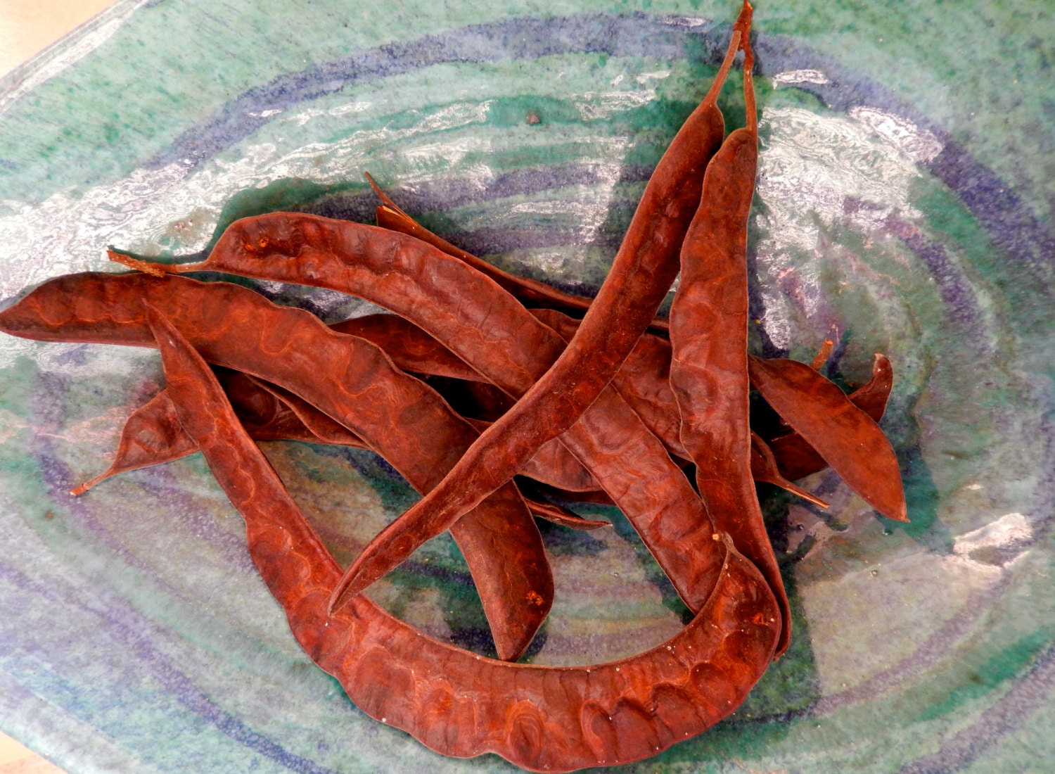 Native Arizona Mesquite Tree Pods Natural Seed by Debrasgoods