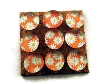 Glass Push Pins Cork Board Pins Thumb Tacks Funky Pushpins in Sunny (P94)